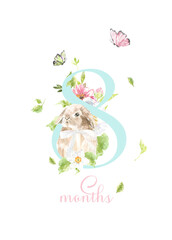 Baby milestone cards, watercolor cute bunny,duck, animals and numbers for newborn girl or boy. 1-11 months and 1 year. Baby shower nursery print. Baby month anniversary , birthday greeting card