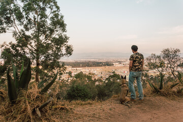 Belgian Shepherd Malinois dog portrait at sunset in the forest with with his owner enjoying the sunset.