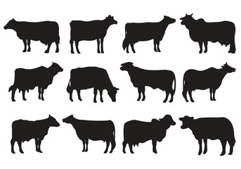 Cow animal silhouettes hand drawn bundle set