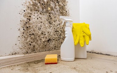 Removal of mold from the wall. Detergents for removal of fungus at home. Preparation for mold removal. © Roman