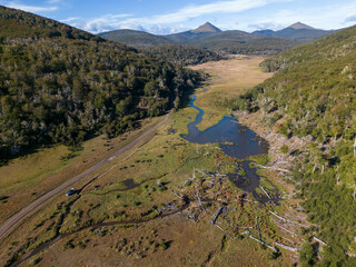Aerial view of a beaver habitat in Reserva Lago Yeguin on the island Tierra del Fuego, Argentina, South America © freedom_wanted
