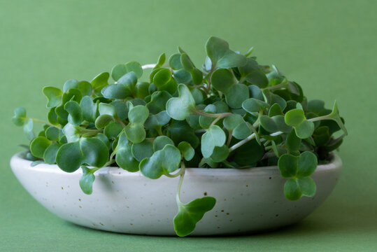 Spicy Salad Mix Micro Greens in a Bowl