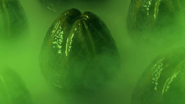 Slimy Alien Eggs In Misty Swamp