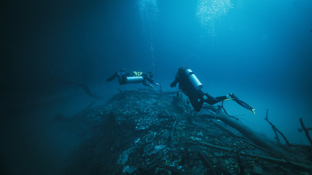 two scuba divers diving above a halocline in Angelita cenote close to a tree