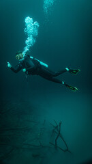 Fototapeta na wymiar female scuba diver diving in a cenote in mexico