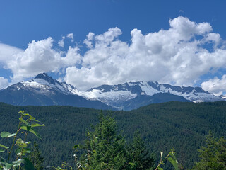 Fototapeta premium landscape with sky