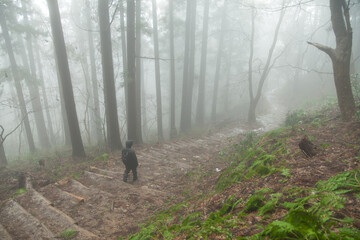 霧の中の登山道を歩く男性