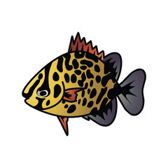Obraz premium set of coral fish isolated on white background