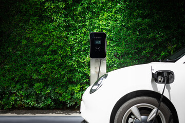 Side view of progressive electric vehicle parking next to public charging station with greenery, natural foliage background as concept for renewable and clean energy for eco-friendly car.
