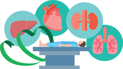 臓器の移植と男性
