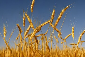 Fototapeta premium 麦畑 with generative ai