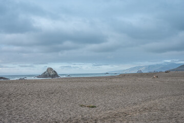 Bodega Bay Beautiful