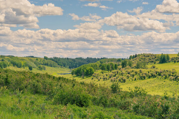 Fototapeta na wymiar Landscape of the the lush green Alberta foothills.
