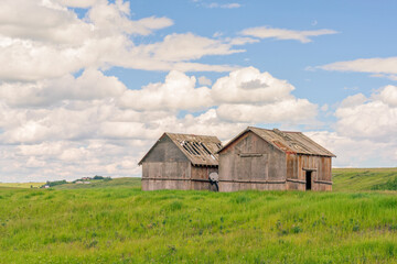 Two Abandoned Sheds in Summer