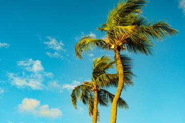 Islamorada Sunrise in the Florida Keys