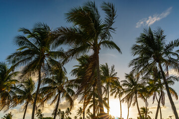 Obraz na płótnie Canvas Islamorada Sunrise in the Florida Keys