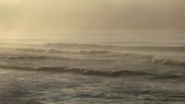 Ocean with mist, early morning, Bruny Island, Tasmania