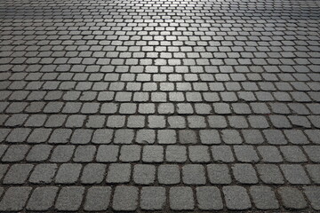 대한민국의 명동성당의 보도블럭입니다. 돌의 패턴이 인상적입니다.