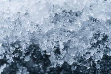 Obraz premium 雪