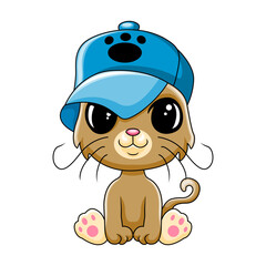 Cute baby cat funny happy