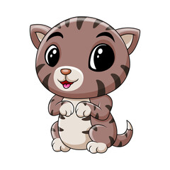 Cute baby cat funny happy