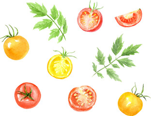 ミニトマトの水彩イラストセット　ベクター