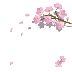 桜　背景　影あり