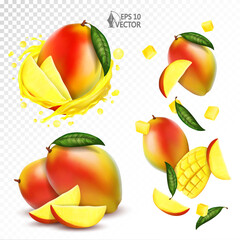 Ripe mango set with pieces, slices and leaves falling in the air isolated on white background. Realistic fruits. Transparent splash of fresh juice. 3d realistic vector illustration.