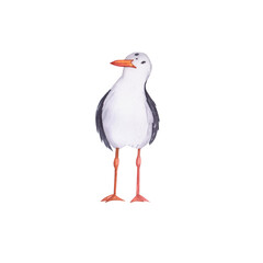 Seagull watercolor illustration. Hand painted card with norwegian house isolated on white background.