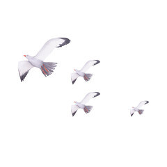 Seagulls watercolor illustration. Hand painted card with norwegian house isolated on white background.