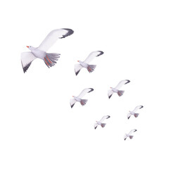 Seagulls watercolor illustration. Hand painted card with norwegian house isolated on white background.