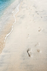 Beautiful footprints on the beach in nature by the sea