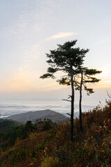무제봉
