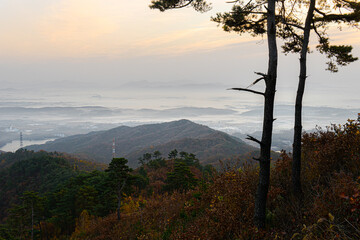 Obraz premium 무제봉