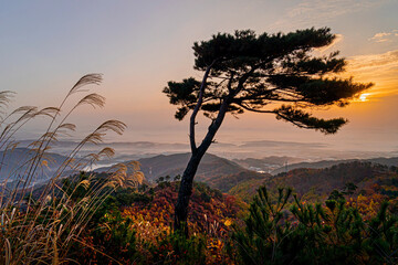무제봉