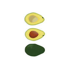 Illustration of whole avocado and sliced avocado
