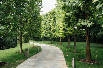Obraz premium Stone path in the park among trees and bushes