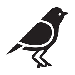 Animal, bird, crow icon