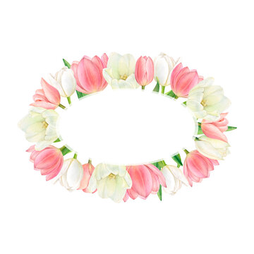 Watercolour oval border of beautiful white and pink tulips. Hand-drawn with a space for your words in the center on the white background