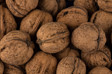 Walnut nut closeup