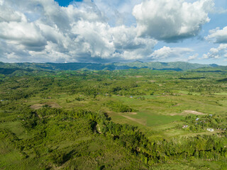 Fototapeta na wymiar Aerial view of farmland with growing crops and sugar cane in a mountain valley. Negros, Philippines