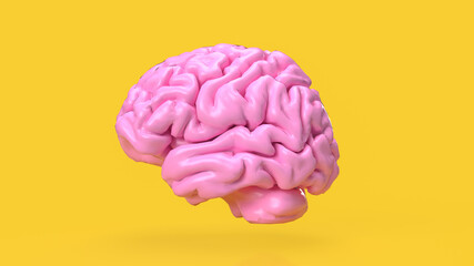 The pink brain on yellow background for creative or idea concept 3d rendering.