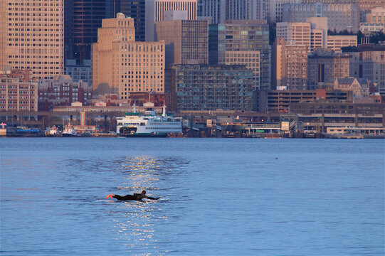 Surfer swimming near Seattle waterfront, Washington State, United States