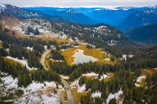Mt Rainier National Park, Naches, Washington State, USA