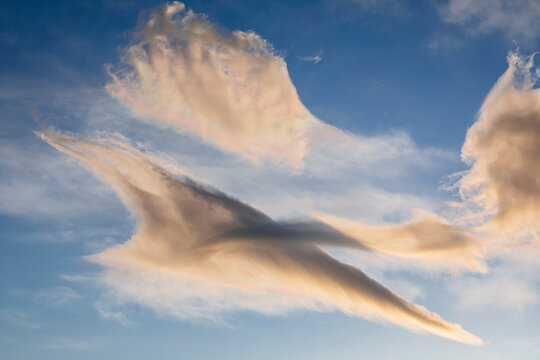 Sky with clouds, Denali National Park, Alaska, USA