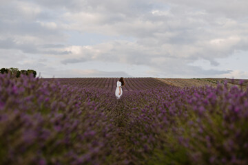 Walking through the fields of an English lavender field