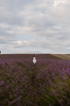 Walking through the fields of an English lavender field