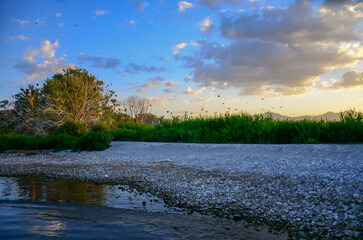 landscape with lake and sky