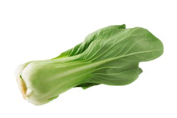 Pak Choi Salat close up transparent freigestellt