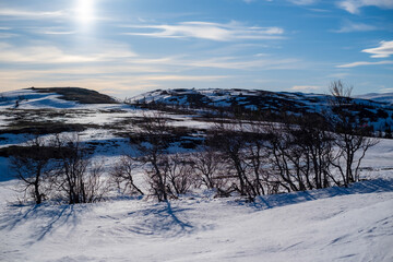 Winter game on a Swedish mountain top